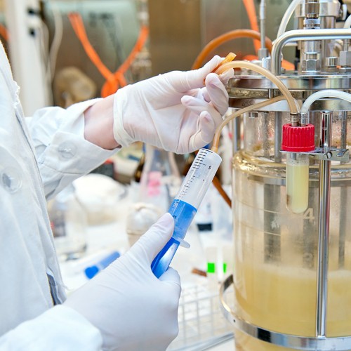 Otimizando o cultivo celular com tubos biorreatores