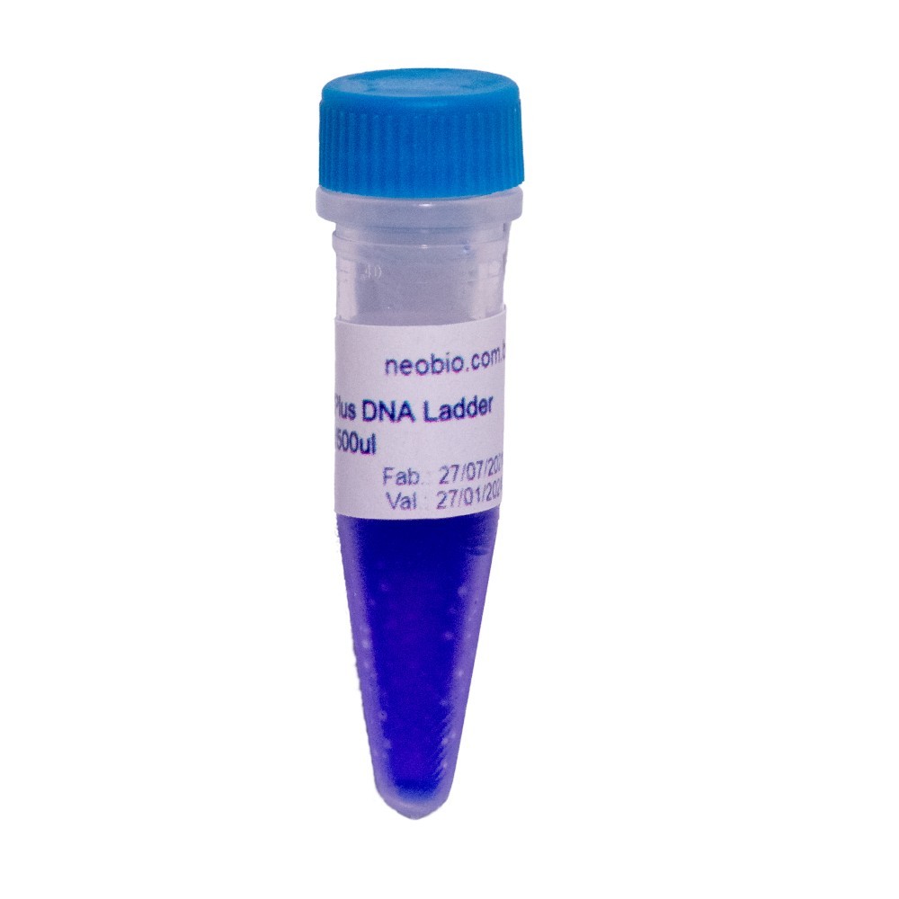 1KB plus DNA Ladder