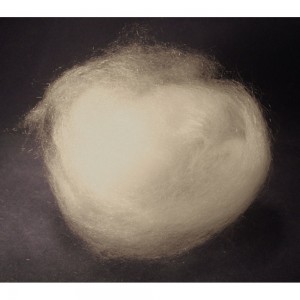Brass wool 50g 38.00-0124 9 UN3077 NOT RESTRICTED Special Provision A197 -  Elemental Microanalysis