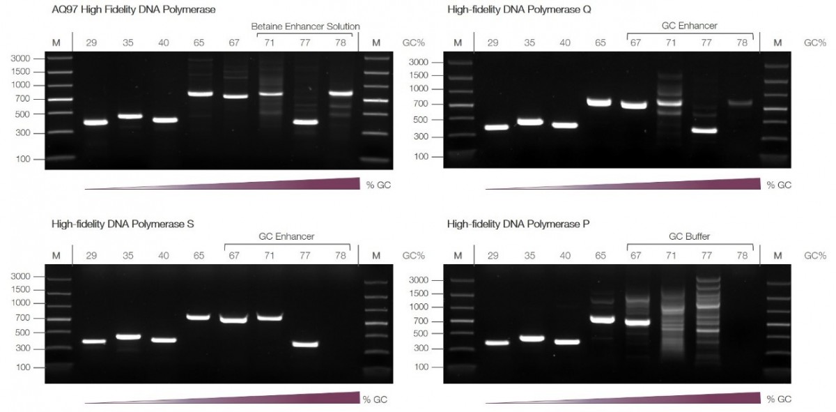 HiFiBiO: High Fidelity Biology