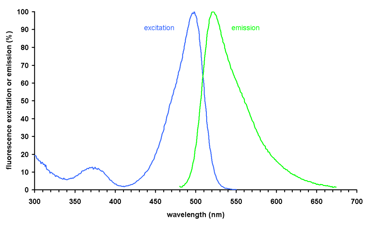 Comprimentos de onda de excitação e emissão do Brilliant Green